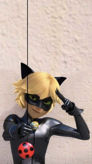 Hình ảnh Cat Noir