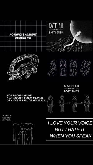 Catfish And The Bottlemen Phong Cách Alt
