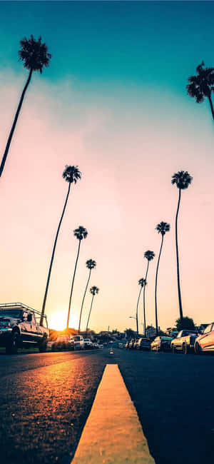 California Summer — Ấm áp Hình nền