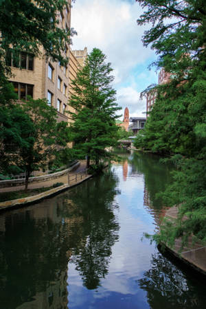 Cây dọc theo San Antonio River Walk — Xiaomi Pad 8 Pro Hình nền