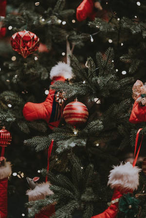 Cây Thông Noel Dễ Thương Phong Cách Thẩm Mỹ Chủ Đề Đỏ — Dễ thương phong cách giáng sinh Hình nền