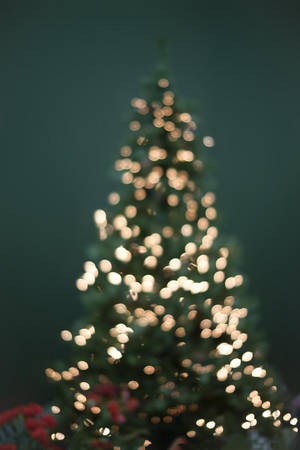 Cây Thông Noel Dễ Thương Thẩm Mỹ — Dễ thương phong cách giáng sinh Hình nền