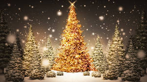 Cây thông Noel lung linh và đẹp mắt