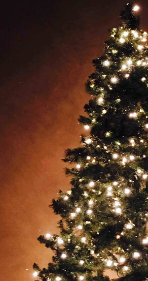 Hình nền iPhone cây thông Noel phát sáng