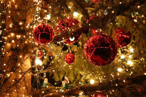 Cây thông Noel thẩm mỹ với đèn lễ hội — Đèn Giáng Sinh Hình nền