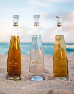 Chai Cincoro Tequila Trên Bãi Biển — Mùa hè Hình nền