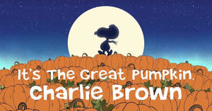 Hình nền Charlie Brown Halloween Bí Ngô