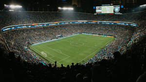 Charlotte FC Sân vận động Bank Of America — Bóng đá GIF Hình nền