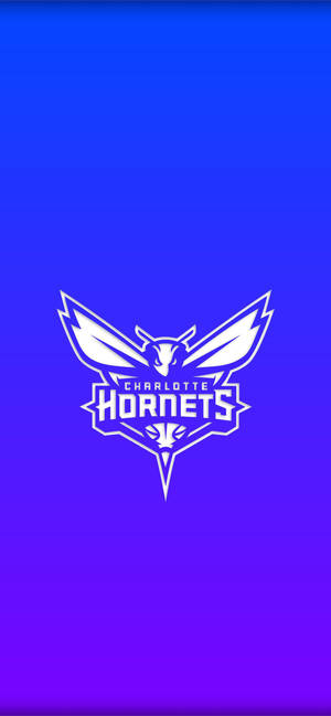 Hình nền Charlotte Hornets Gradient Blue — iPhone 17 Hình nền