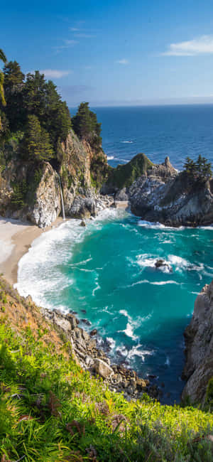 Nền iPhone X California — 19.5:9 Hình nền