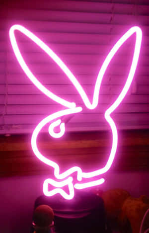 Hình ảnh thẩm mỹ hồng neon — Neon hồng aesthetic Hình nền