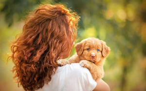 Chú cún vàng nhỏ xinh và người phụ nữ — Chú cún dễ thương Hình nền