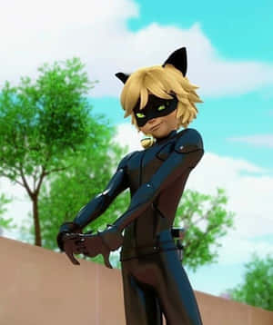Hình ảnh Cat Noir