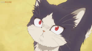 Chú thích: Hình ảnh anime Nhật Bản về một chàng trai trẻ chia sẻ khoảnh khắc yên bình với chú mèo cưng của mình. — Mèo Hình nền