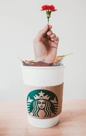Tay Cầm Starbucks iPhone — Hoa động Hình nền