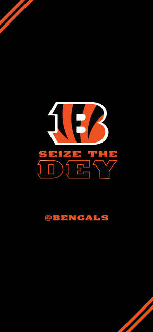 Hình nền Cincinnati Bengals seize the dey — iPhone 14 Pro Max Hình nền