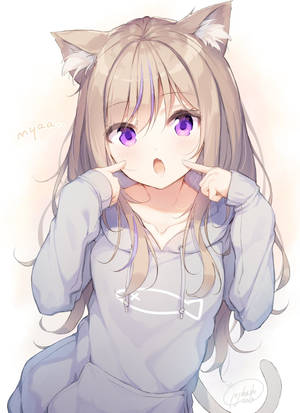 Hình nền Cô gái Anime mặc áo hoodie mèo — Dễ thương anime girl Hình nền