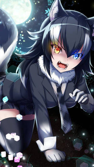 Hình nền Cô Gái Sói Anime Dễ Thương Làm Ảnh Đại Diện — Dễ thương anime girl Hình nền