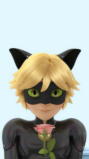 Hình ảnh Cat Noir