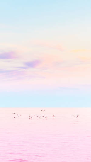 Đại dương hồng pastel cho iPhone
