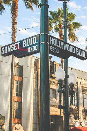 Hình nền Đại lộ Hoàng hôn và Đại lộ Hollywood