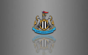 Hình nền máy tính màu xám logo Câu lạc bộ bóng đá Newcastle United.