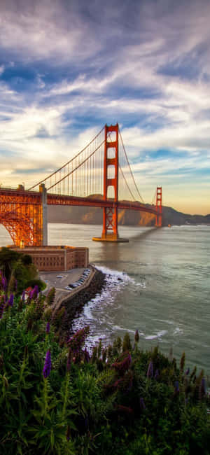 Nền iPhone X California — Tecno Pova 8 Pro Hình nền