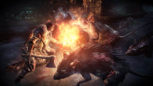 Dark Souls III Chuột Khổng Lồ — Dark souls 3 Hình nền