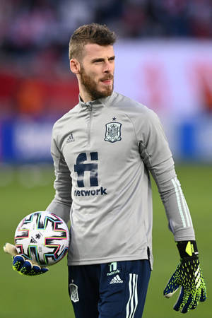 David De Gea Bộ Kit Tây Ban Nha Màu Xám — Huawei MatePad Air (2025) Hình nền