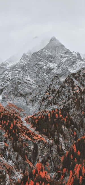 1170x2532 — iPhone 14 Pro Hình nền