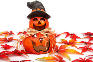 Hình nền Jack o' lantern dễ thương Halloween mùa thu. — Dễ thương phong cách halloween Hình nền