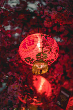 Phông nền Trung Hoa — Tiếng Trung Hình nền