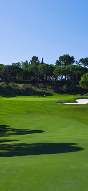 Nền sân golf Iphone X — iPhone 15 Plus Hình nền