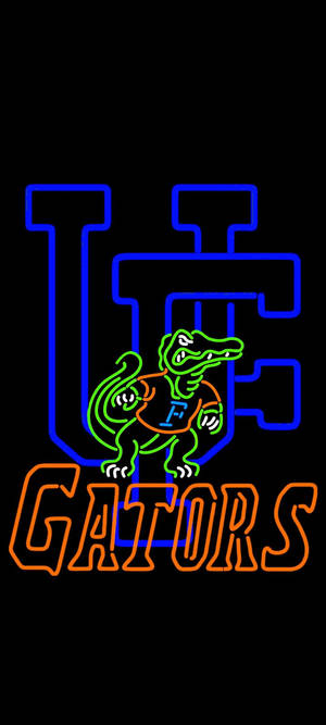 Hình nền Đèn Neon University Of Florida Gators.