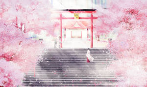 Đền Noragami Phong Cách Anime Màu Hồng — Thẩm mỹ hồng Hình nền