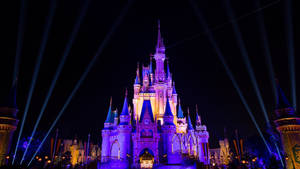 Disneyworld Về Đêm