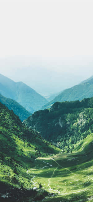 Nature Vertical — Redmi Note 15 Pro 4G Hình nền