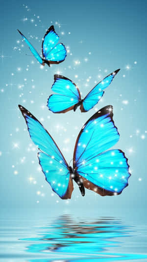 Embrace the Beauty - Hình nền bướm nghệ thuật — Thẩm mỹ bướm Hình nền