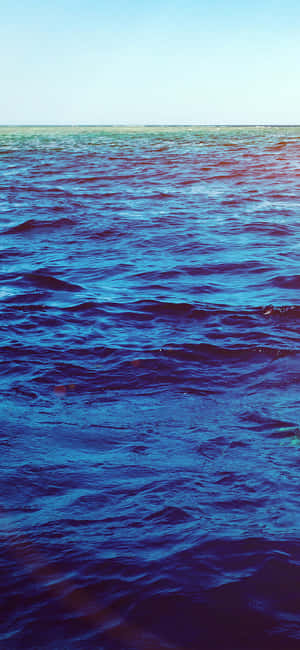 Điện Thoại Thẩm Mỹ Đại Dương — iPhone X Hình nền
