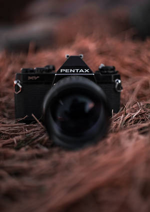 Ảnh máy ảnh Pentax màu đen trên hình nền tổ chim. — OnePlus Pad Hình nền
