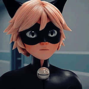 Hình ảnh Cat Noir