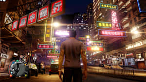 Hình nền Sleeping Dogs — Chó ngủ Hình nền
