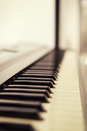 Nền piano — Xiaomi Pad 8 Hình nền