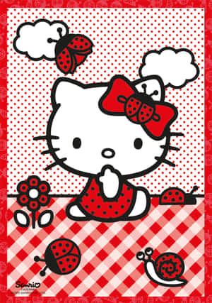 Hình ảnh Hello Kitty — Hello kitty aesthetic Hình nền