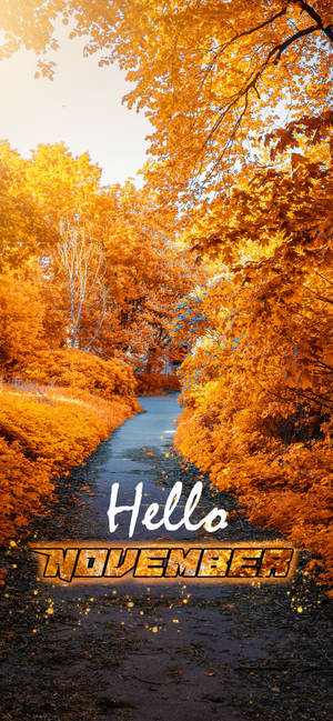 Hình nền lối đi vườn vàng Hello November — iPhone 12 Pro Hình nền
