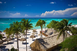 Hình ảnh bãi biển Aruba — Sóng biển Hình nền