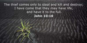 Hình ảnh câu Kinh Thánh đẹp — Thẩm mỹ câu kinh thánh Hình nền
