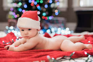 Hình ảnh Giáng sinh dễ thương — Giáng sinh vui nhộn Hình nền