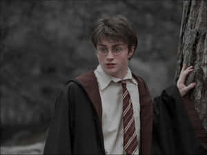 Hình ảnh Harry Potter đầy tính thẩm mỹ — Harry potter phong cách Hình nền
