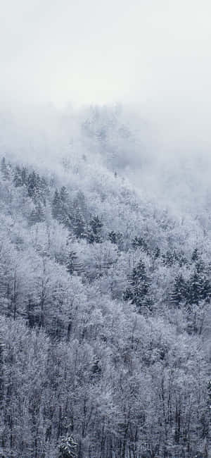 Snow Iphone — iPhone 18 Pro Max Hình nền
